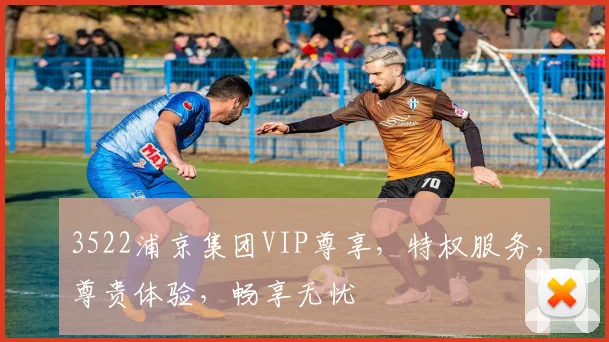 3522浦京集团VIP尊享，特权服务，尊贵体验，畅享无忧
