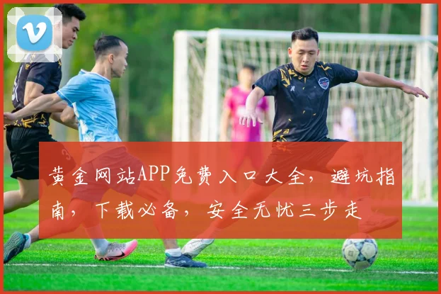 黄金网站APP免费入口大全，避坑指南，下载必备，安全无忧三步走